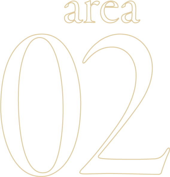 area 02