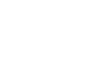 01 盆栽