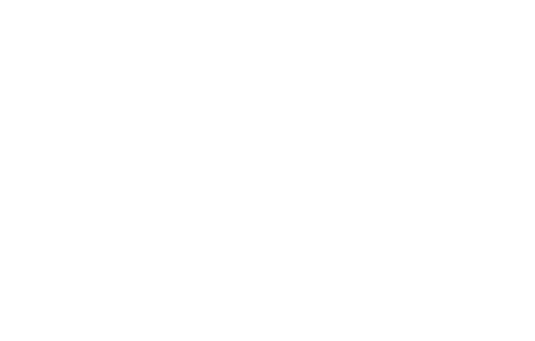 ドライ盆栽
